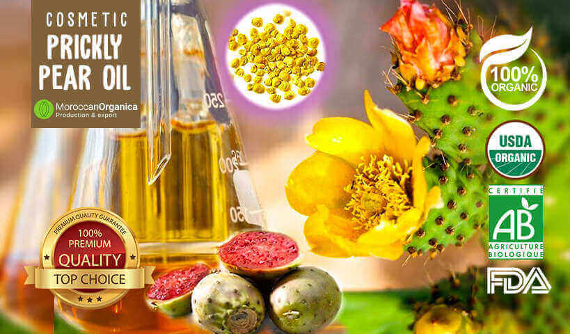 Benefits of Prickly Pear Seed Oil for Your Skin